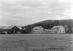 Van Severen & Co, Trones gård, skogbestyrerbolig