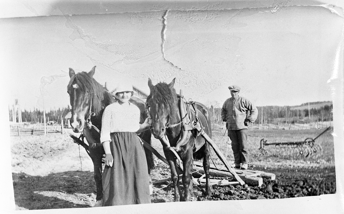 Våronn på Karsrud nedre i Vestre Toten 1919. Heimly skimtes bak hestene. Personene er Stina Dahlen Aannerud og Anton Napstad.