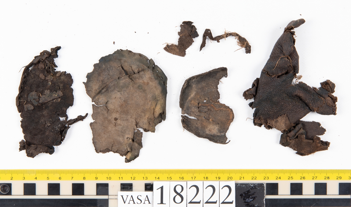 Ett 40-tal större och mindre fragment från sko. På några av fragmenten finns hål efter stygn. På vissa fragment har köttsidan släppt från narvsidan. Tillsammans med lädret ligger också ett mycket fuktigt, halmliknande material.