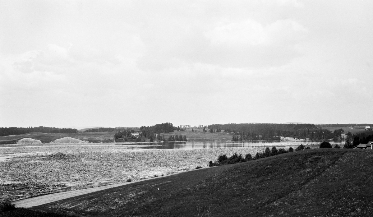 Store mengder tømmer i vann. Glomma ved Bingen, Sørum, Akershus.