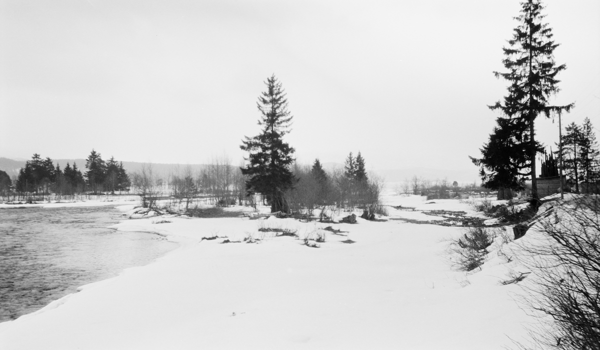 Snødekt landskap, vei, vann, noen store trær. Bildet er trolig tatt ved Glomma. Våler, Hedmark.