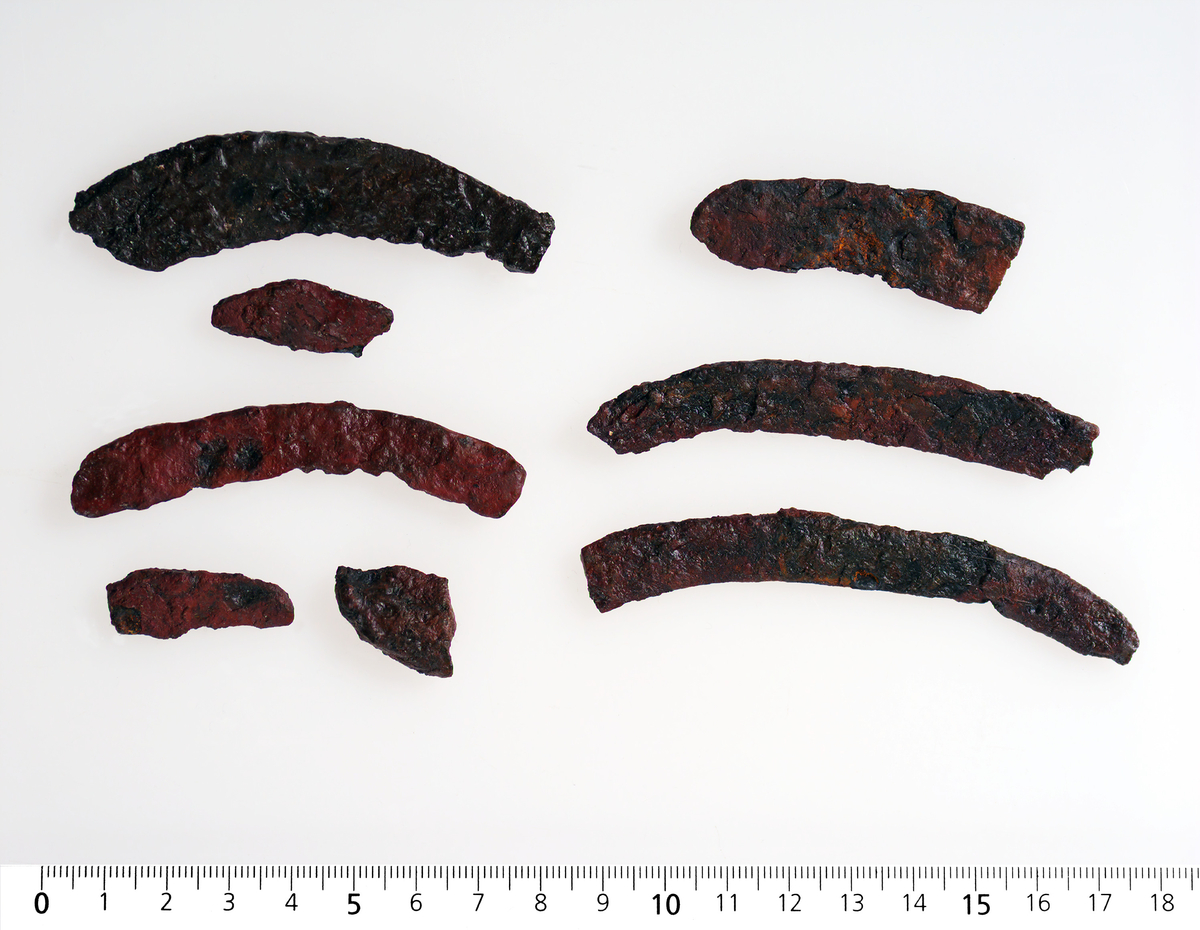 Odd av sigd eller ljå av jern, 2,8 cm lang
