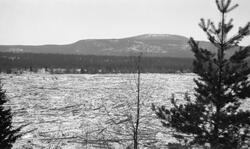 Glomma ved Kåsen i Åmot, fotografert etter den store isgange