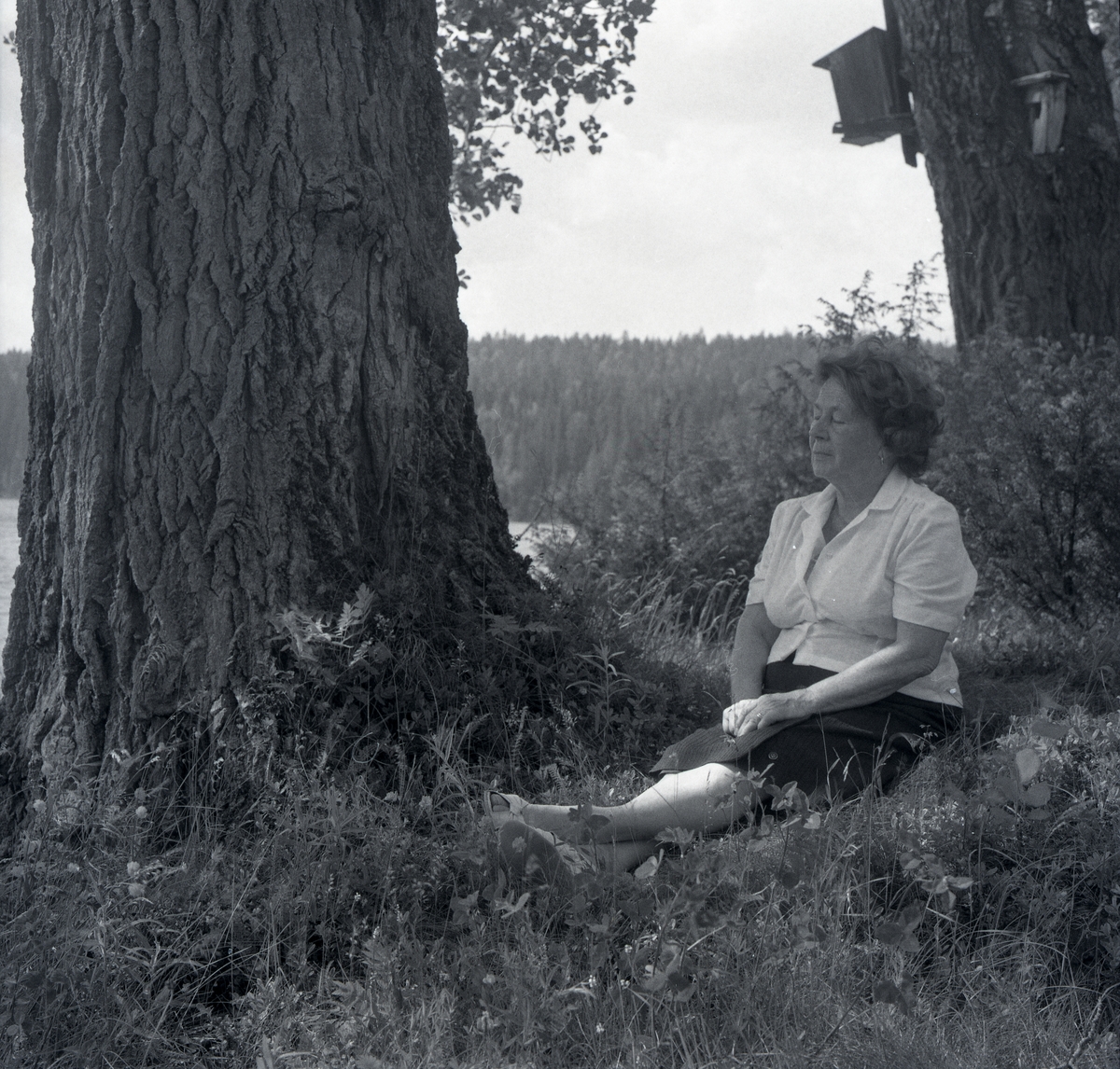 Adéle sitter i gräset i skuggan vid ett träd 1992. Hon har ögonen slutna. 
Fågelholkar är fästa på trädstammen.