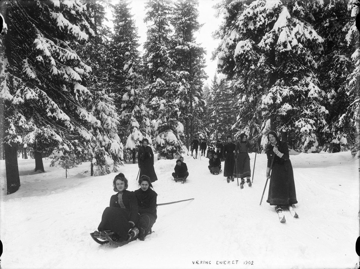 Kvinner på ski og kjelker i skogen.