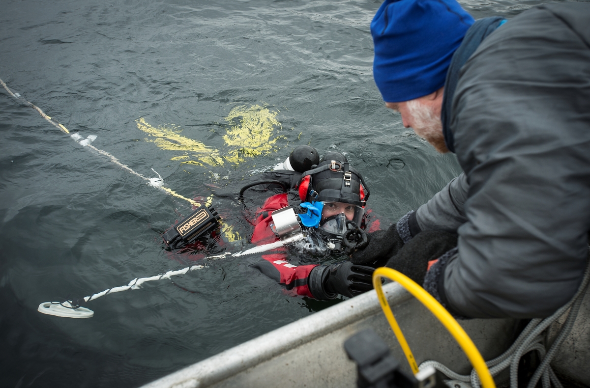  SMTMs Marinarkeologer undersöker botten i Visby hamn på Gotland.