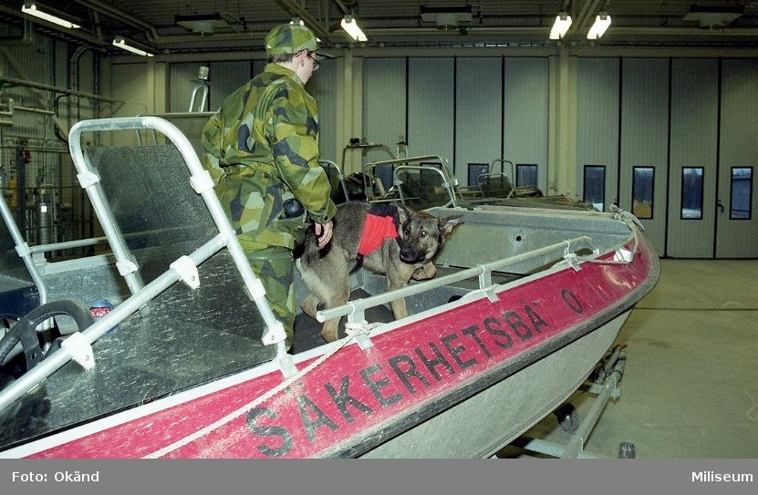 Hundutbildning.

Hund på båt.