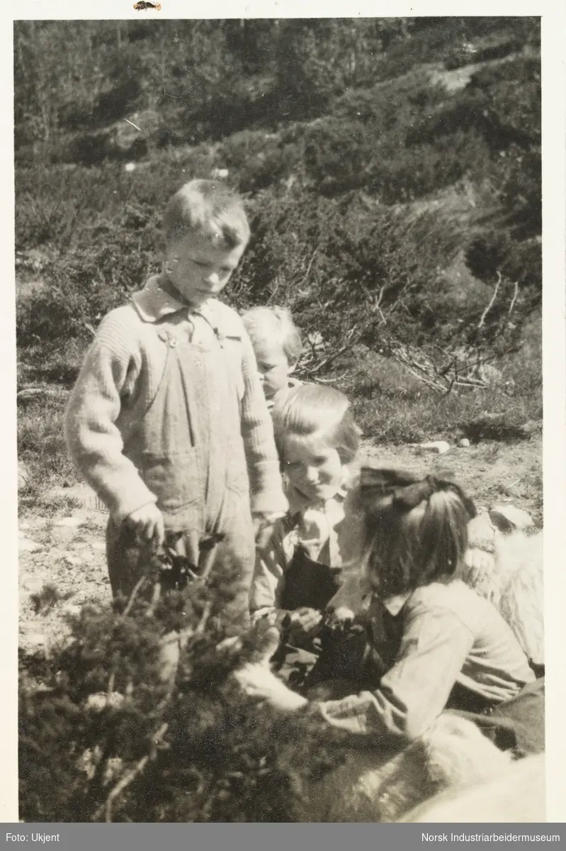 Barn leker ute på Briskeroe, Møsstrond. Anton Poulsson står, mens to jenter med sløyfe sitter på huk ved siden av en busk