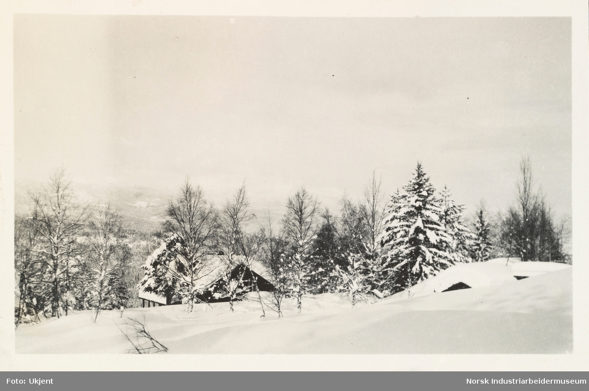 Solli, februar 1931. Hytter i snødekt lanskap