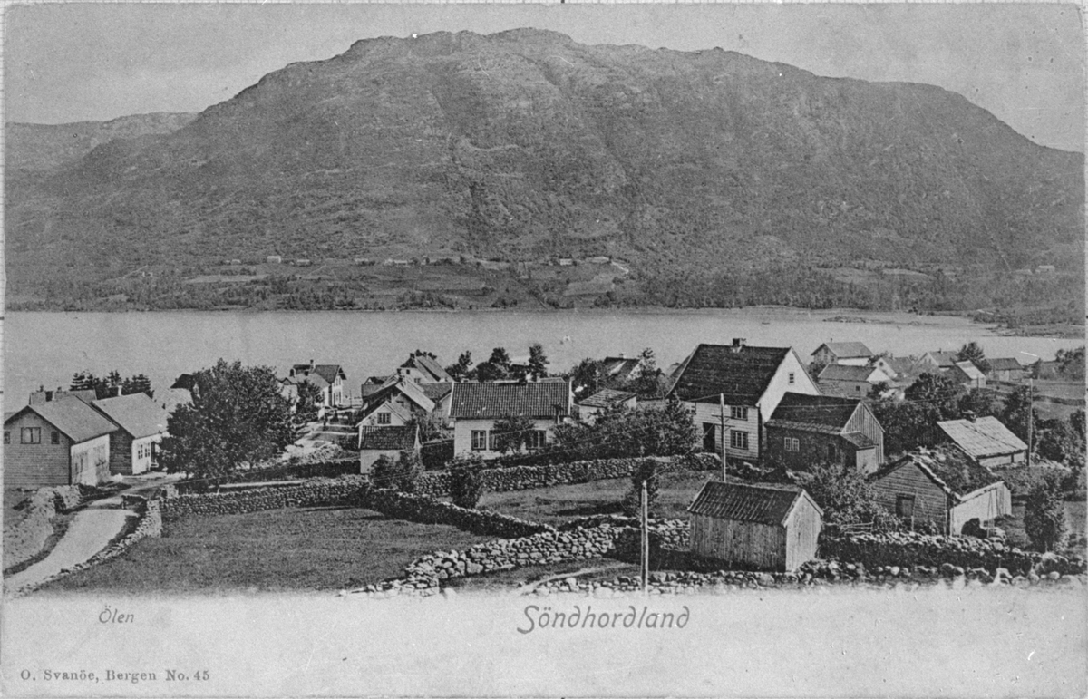 Postkort med motiv frå Ølensjøen sett mot nordaust, ca. 1915. Til høgre er Kolbeinstovo og Fargarehuset. Til venstre ligg Paul og Torkel Vaka sine hus.