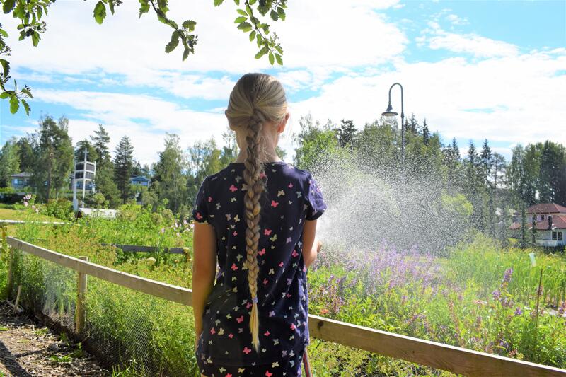 Jente, som står med ryggen til kamera, vanner skolehagene på Lørenskog bygdemuseum. (Foto/Photo)