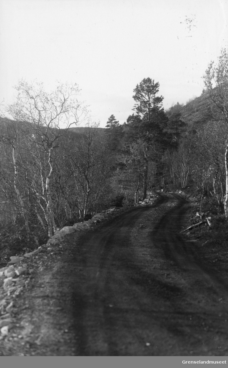 Veisving ved Øyvatn (Øivann) sett nordover. Fra Ørnevandsforekomsten, 27/9-1937