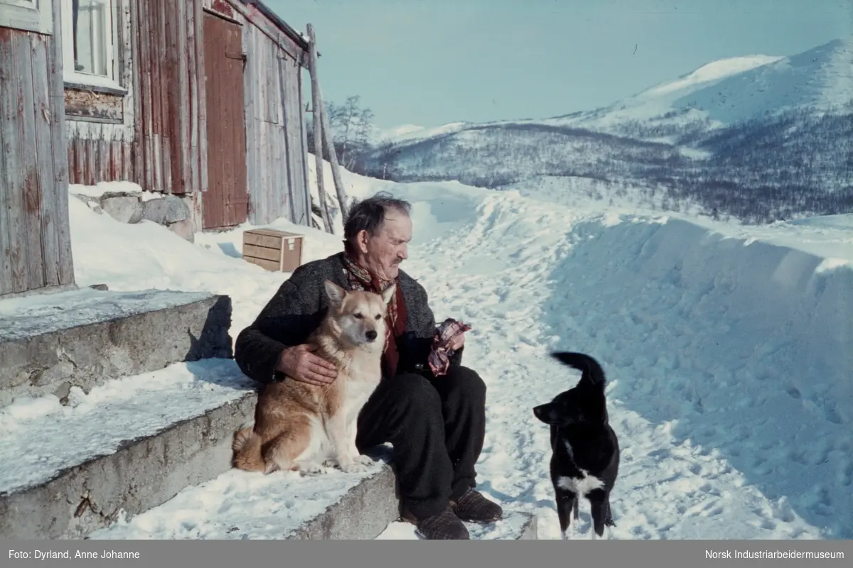 Åsmund Løvås sitter på trappa sammen med to hunder utenfor huset på Argehovd, Møsstrond på vinterstid.