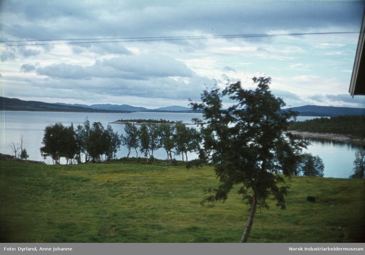 Utsikt mot grønt jorde og innsjøen Møsvatn fra gården Aust-Førnes, på Møsstrond