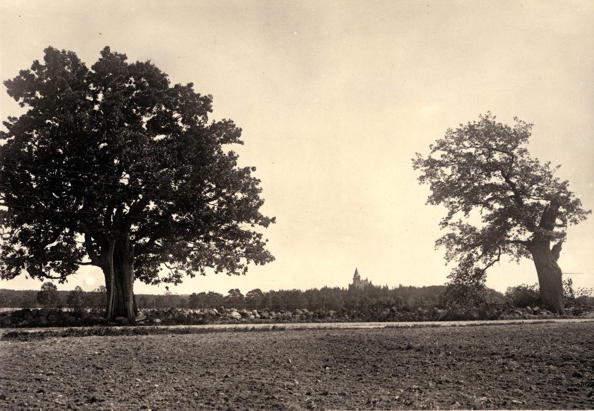 Telestadsvägen, vid ekarna Adam och Eva. Trummen och Teleborgs slott i bakgrunden. Växjö, ca. 1912.