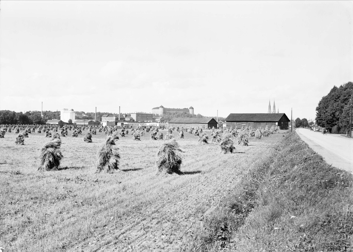 Vy över Kungsängen, Uppsala 1940