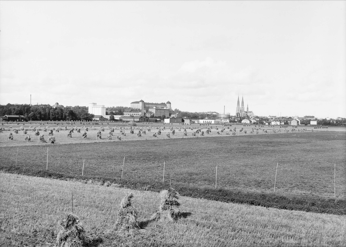 Vy över Kungsängen, Uppsala 1940