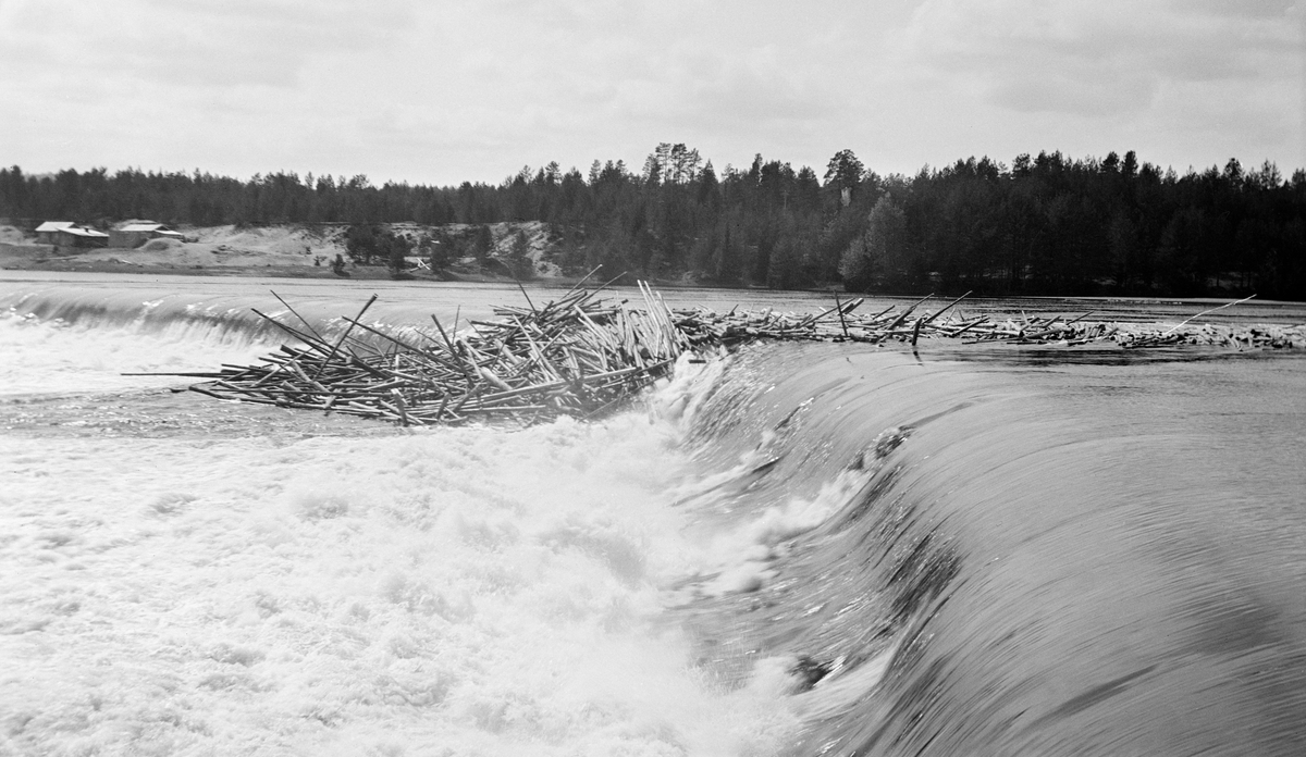 Tømmerfløting i Glomma ved Skjefstadfossen i Heradsbygda i Elverum (Hedmark) i 1933. Fotografiet er tatt fra elveskråningen på østre side av vassdraget, like nedenfor den armerte betongdammen som skulle stuve opp vann på motstrøms side til det kraftverket som ble bygd ved den vestre elvebredden i 1909-1910. Krona på denne om lag 300 meter lange dammen ble støpt noe lavere i den østre enden med henblikk på at det skulle etableres en strøm som trakk mye av fløtingstømmeret mot den østre delen av elveløpet, der det var djupest og dermed minst fare for at tømmeret skulle sett seg fast og danne hauger som det kunne bli arbeidskrevende å løsne. Her ser det imidlertid ut til å ha bygd seg opp en haug ved den midtre delen av dammen. Mye tyder på at dette startet med at en del stokker satte seg fast i fallsona under dammen, og at dette tømmeret deretter fanget annet fløtingsvirke, slik at haugen vokste videre oppover på motstrøms side av damkrona.