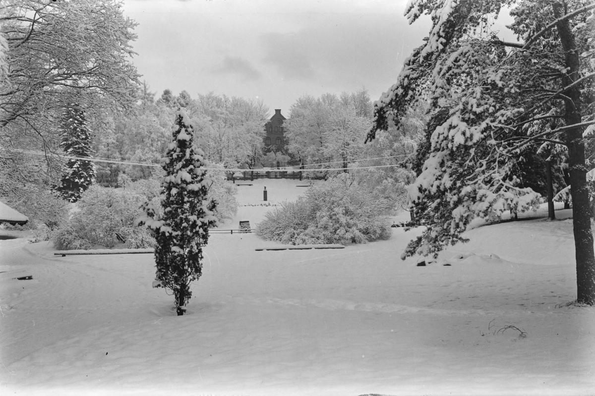 Søndre park i Lillehammer dekket av snø, i bakgrunnen sees minnesmerket over Carl Lumholtz (1851-1922) og Lillehammer høiere skole.
