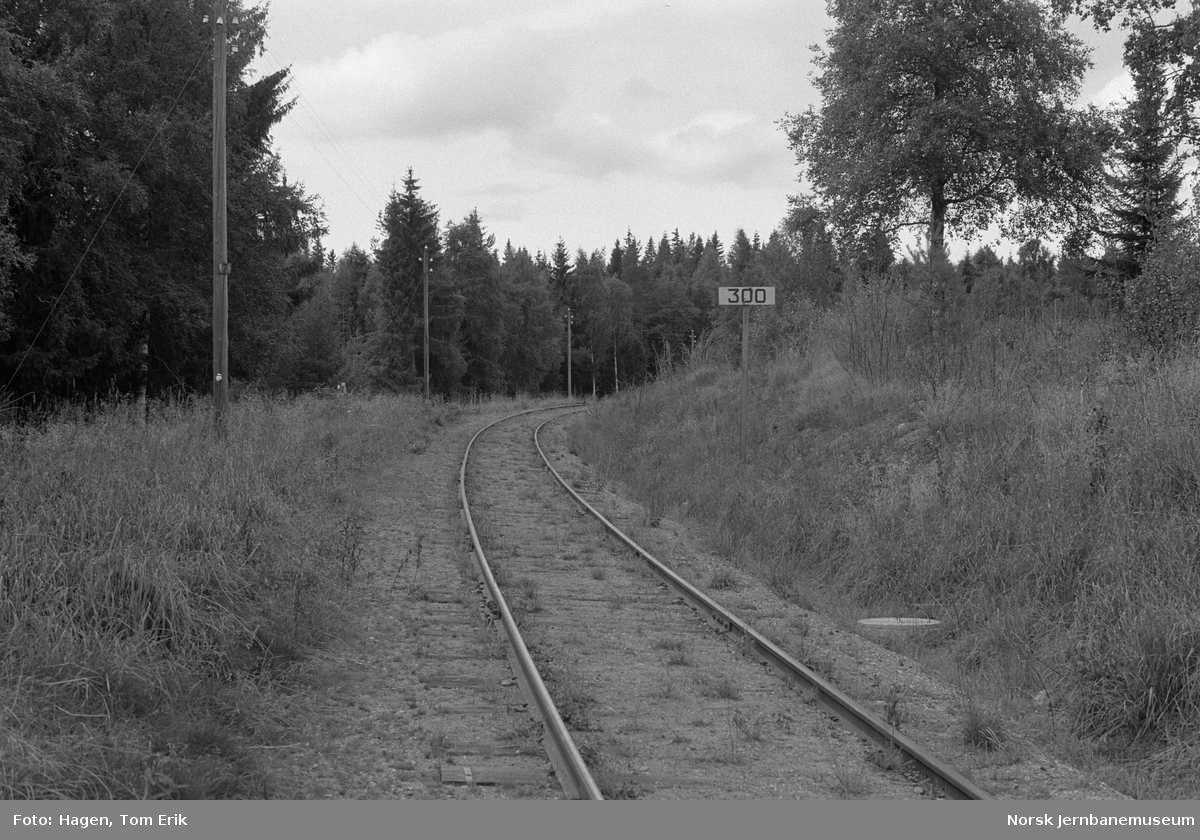 Skreiabanen mellom Bøverbru og Lena