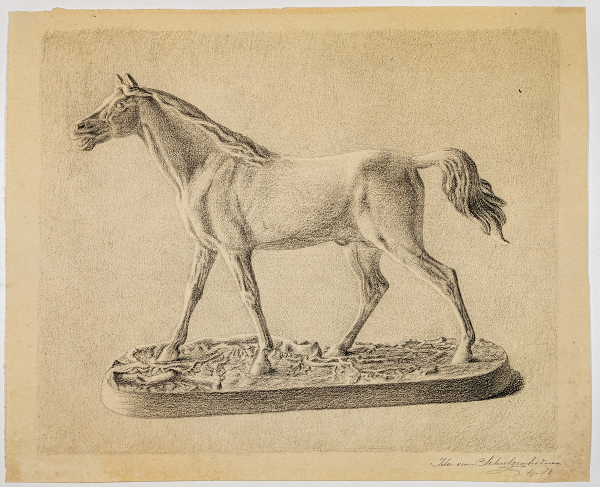 Teckning på papper, föreställande hästfigurin. Signerad Ida von Schulzenheim apr 78.