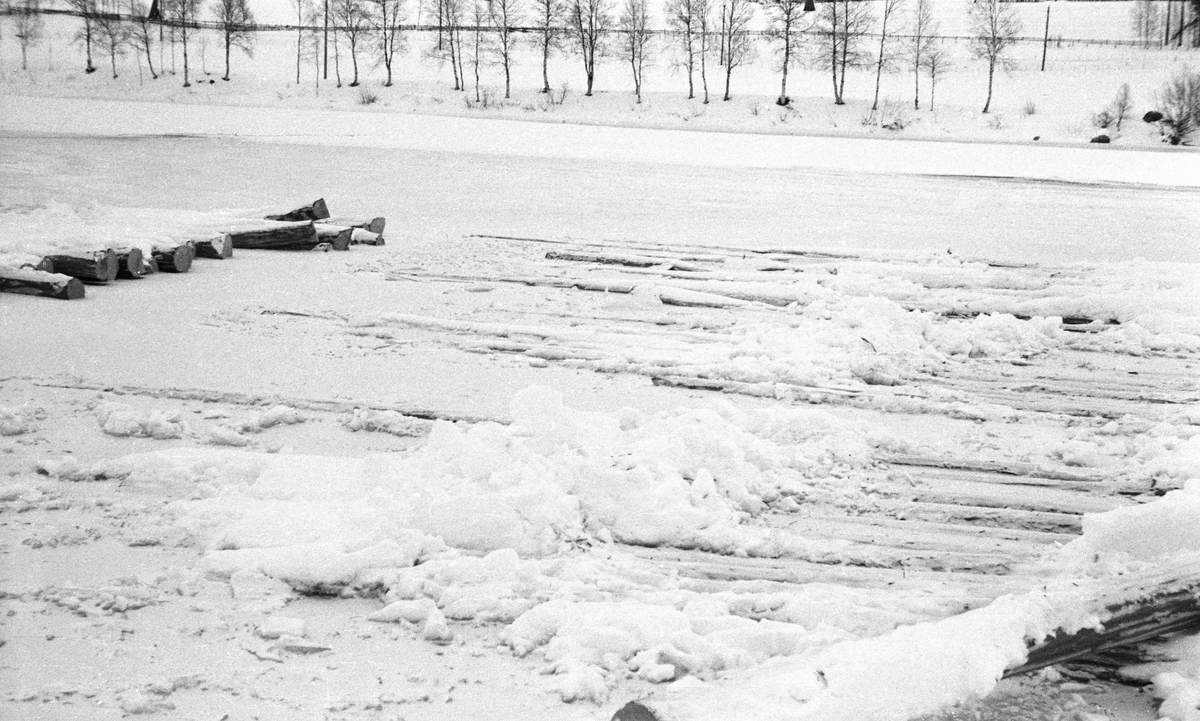 Nediset tømmer i Glomma ved Øyan på Tynset vinteren 1952.  Fotografiet er tatt på tvers av elveløpet.  De stokkene som ligger parallelt med strømretningen i forgrunnen er delvis nedfrosset og dekt av et tynt snølag.  Til venstre i bildet ses en del virke som ikke er nediset.  På motsatt elvebredd vokser det lauvtrær.  Bakenfor ses snødekte jorder. 