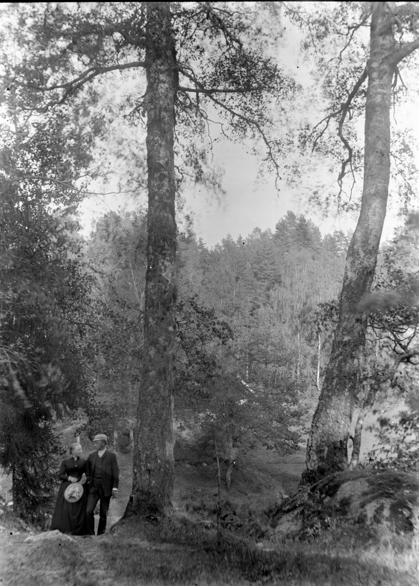 Caroline M. Fog og Nicolai L. Fog spaserer i park/skog (Berg?)