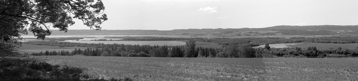 Panoramabilde av innsjøen Øyeren, Fetsund, Akershus. Tre bilder satt sammen.