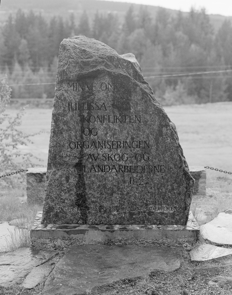 Minnestein, reist i 1977 av Julusmoen Skog- og Landarbeiderforening til minne om Julussa-konflikten i 1927 i Julussdalen i Elverum, Hedmark. Steinen har påskriften «MINNE OM JULUSSAKONFLIKTEN OG ORGANISERINGEN AV SKOG- OG LANDARBEIDERNE 1927». 

Julussa er et vassdrag som renner nordvestover fra Bergersjøen i Elverum og har sitt utløp i Rena-elva i Åmot, drøyt to mil fra kilden. Elva og sidevassdragene Røta, Holma og Ringsåsbekken renner gjennom et landskap. Skogen var fordelt på cirka 70 skogeiere. Fløtingsstrekningen var fordelt på fem roder, der det i 1920-åra brukte å være over 100 mann som arbeidet for å få ut tømmeret i retning Rena og hovedvassdraget Glomma. Fram til 1923 hadde dette mannskapet hatt småbrukeren Petter Neverlien som fløterhusbond. Han var en respektert arbeidsleder som sympatiserte med Arbeiderpartiet. I så måte var han nok mer på linje med de øvrige fløterne enn med skogeierne som var oppdragsgivere. Men fløtinga ble tildelt etter lisitasjonsprinsippet - den fløterhusbondkandidaten som påtok seg arbeidet for den laveste prisen, fikk oppdraget. I 1924 ble Neverlien utfordret av Hans Mellum, skogbestyreren til den innflytelsesrike skogeieren Otto Aakrann. Mellum hadde en helt annen politisk grunnholdning, han sympatiserte med Høyre og etter hvert med Nasjonal Samling. Også Mellum gikk for å være en energisk og dyktig arbeidsleder. Han drev fløtinga videre, i første omgang med det samme mannskapet som Neverlien hadde hatt. Fra 1925 ble mange av de fløterne som hadde uttrykt fagforeningssympatier utestengt fra arbeidet. I 1926 prøvde en av de utestengte fløterbasene, arbeiderpartimannen Martin Halstensen, å utfordre Mellum med et mannskap av fagorganiserte arbeidere. Han fikk ikke oppdraget. Men Halstensen gav seg ikke. I 1927 gav han nok en gang anbud på fløtinga. Nok en gang ble han avvist av elvestyret, sjøl om det var kjent at Halstensens anbud var det laveste. Dette ble oppfattet som en provoserende politisk avgjørelse. Da fløtinga skulle starte, stilte de forsmådde organiserte arbeiderne opp og prøvde å jage streikebryterne, noe de delvis lyktes med. Også Mellums lag og skogeierne mobiliserte, og de hadde både det lokale politiets og statspolitiets støtte. Mellums lag ble beskyttet av en politistyrke på 60 mann med to hunder. Det gikk også rykter om at et gardekompani var mobilisert. Med slik støtte ble elva utfløtt. Men politiets framferd mot fattige arbeidsfolk vakte avsky. Saken ble et tema i Stortinget, og den åpnet det industriorienterte LOs øyne for arbeidsfolket i skogbygdene. Høsten 1927 ble Norsk Skog- og Landarbeiderforbund stiftet.