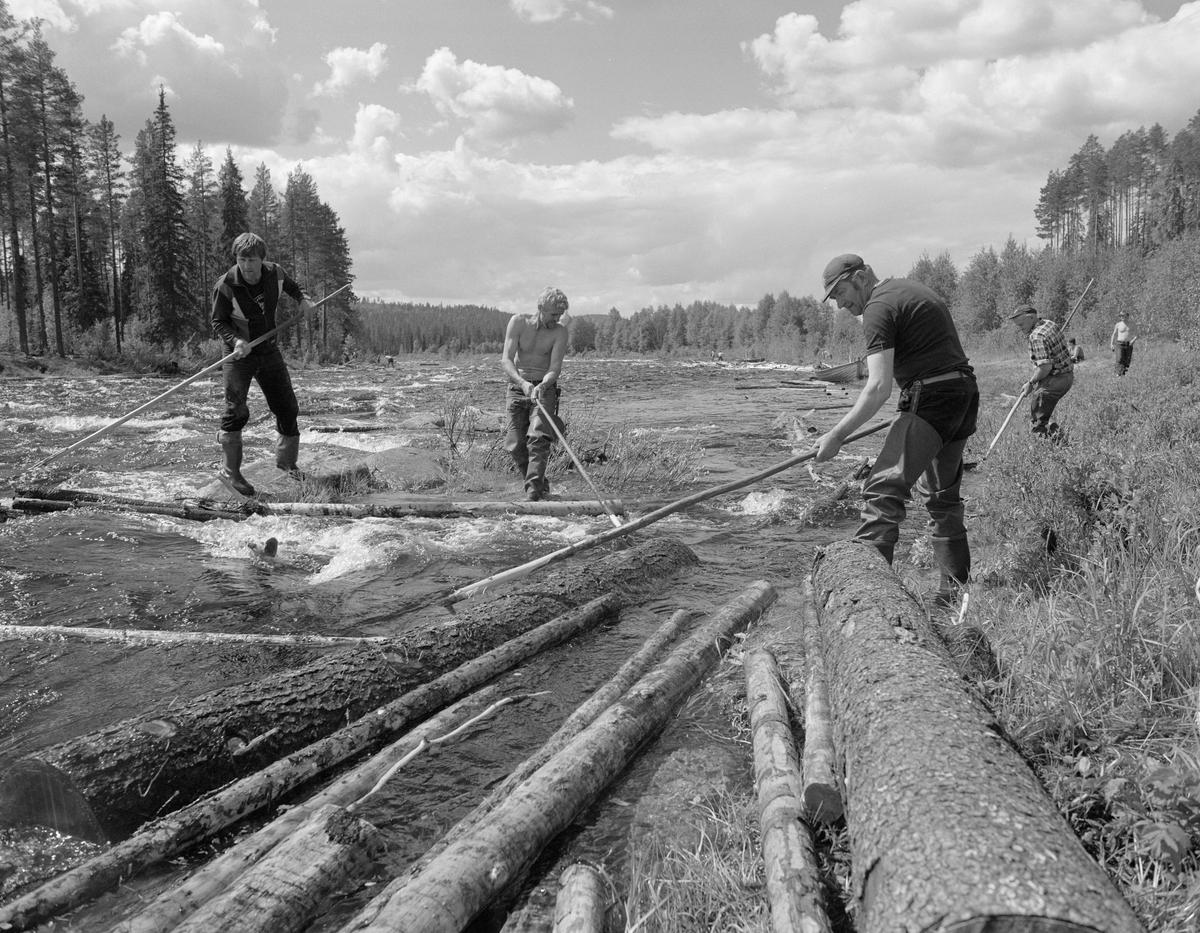 Sluttrensk i elva Stor-Grøna i Trysil, Hedmark. Fløtere i arbeid med å løsne tømmer som har lagt seg langs elvebredden.