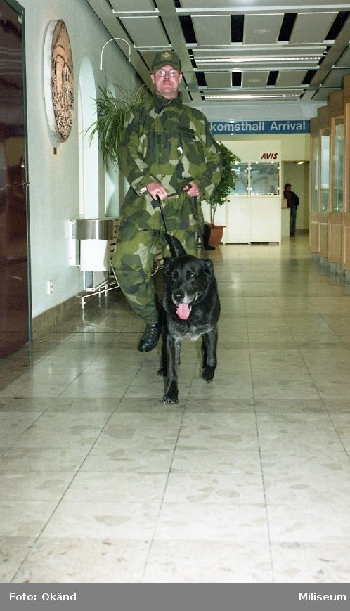 Utbildning inför utlandstjänst.

Soldat och hund, ankomst på flygplats.