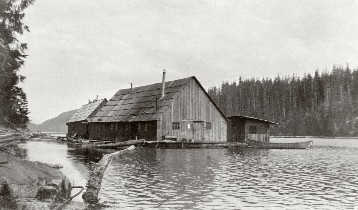 Husbåt eller «camp», et overnattingssted for tømmerhoggere i Alaska, USA, fotografert i 1916. Dette dreier seg antakelig om to flåter, som lå etter hverandre. På flåtene er det reist bordkledde hus med saltak. Takene later til å ha vært tekket av blikk fra oppklipte og utrettete tønner. Inntil den nærmeste husbåten lå det en noe mindre skur med pulttak. Framfor dette lå det en robåt. Langsmed det stilleflytende vassdraget sto skogen tett.

Dette fotografiet ble tatt av forstmannen Anton Smitt (1883-1970) under en studietur på den nordamerikanske kysten sommeren 1916. Bildet er antakelig tatt ved den drøyt 3 700 kilometer lange elva Yukon. I dette området var det knapt veger, og derfor var det elvene som var de viktigste ferdselsårene, i hvert fall over litt lengre avstander. Når det gjelder innkvarteringa av skogsarbeiderne noterte Smitt seg følgende: «Folkene bor i godt tømrede huser bygget paa flaater som letvint kan fragtes fra den ene hugstplads til den anden. De har det sjelden saa komfortabelt som deres kolleger længer syd paa kysten, men de lever allikevel udmerket og fører som regel fælles husholdning eller en kok overtar denne som sin forretning og gir folkene kosten paa en bestemt betaling. Ogsaa maskiner og redskaper blir tat ombord paa slike flaater ...»