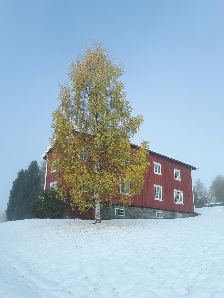 Raulåna er en to-etasjes laftet tømmerbygning med stående rødmalt panel. Taket er kledd med fasettskifer. Bygget har to diagonalpanelte inngangsdører. På takmønet står en metallvimpel med årstallet 1675.