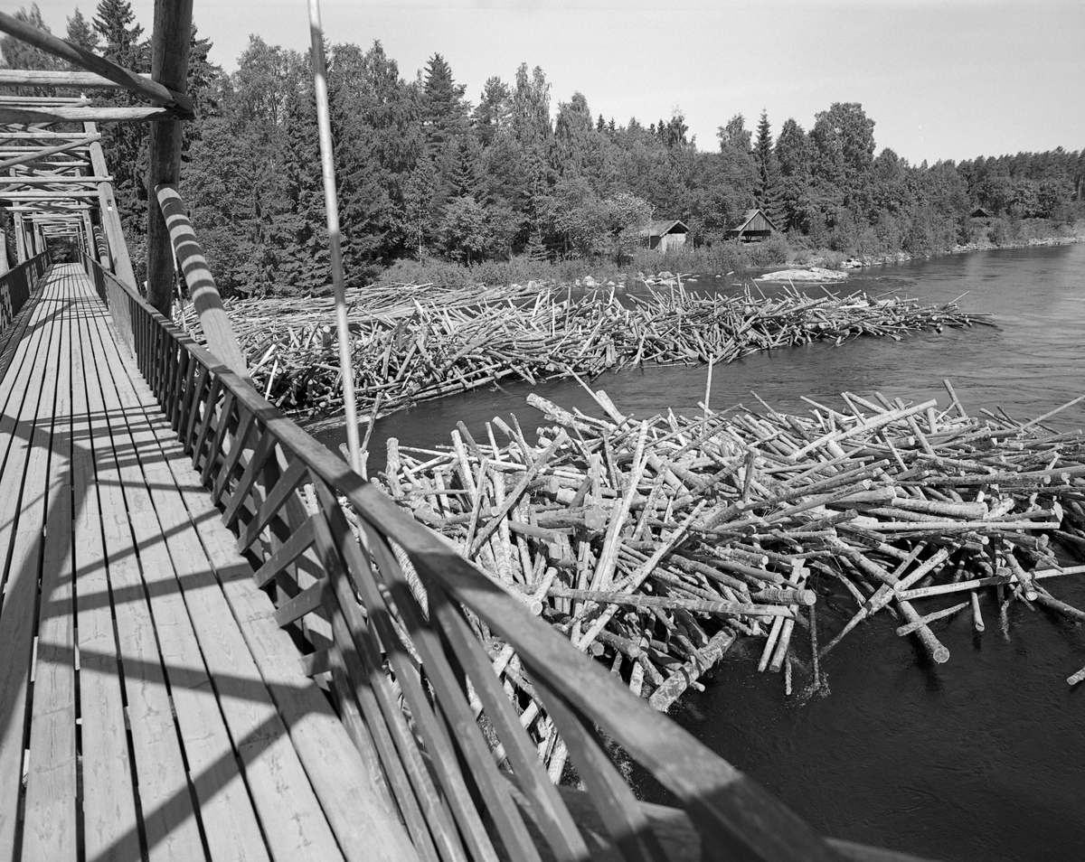 Tømmerhauger på motstrøms side av Klokkerfossbrua over Glomma i Elverum i Hedmark. Brua forbinder den østre elvebredden med Prestøya, der Norsk skogmuseum har sine friluftssamlinger. Klokkerfossbrua ble bygd i 1963-64 i en såkalt tømmersprengverkskonstruksjon med fire 20 meter lange spenn som kvilte på landkar i ytterendene og tre støpte betongkar i sjølve elveløpet. Under tømmerfløtinga var slike kar hindringer som hadde lett for å «fange» løstømmeret som kom drivende med strømmen. På denne måten kunne det bygge seg opp digre hauger eller tømmervaser på motstrøms side av brukarene, noe som hadde skjedd her. Egentlig skulle det ikke gå tømmer i Klokkerfossen i det hele tatt. Fløterne brukte å legge ei ledelense fra den østre elvebredden ved Elverum prestegard, noen hundre meter høyere oppe, mot et steinskjær i den sentrale delen av elveløpet. Derfra pleide «draget» fra Prestfossen på den nordvestre sida av Prestøya å være såpass kraftig at løstømmeret som kom fra ovenforliggende skogbygder strøk den vegen. Der var vannføringa større og faren for haugdannelser atskillig mindre. Ved denne anledningen må lensa ha sviktet, noe som førte til at fløterne fikk mye ekstraarbeid i Klokkerfossen. Fotografiet ble tatt våren 1982.