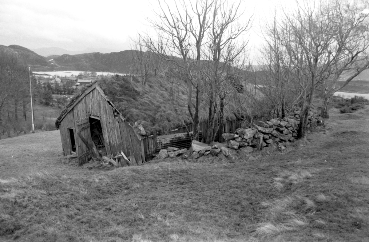 Dokumentasjonsbilder i serie av Svarthaugstova fra Herøy før nedtaking og riving.. Et sammenbygd hus som bestod av fjøs, løe og stove.