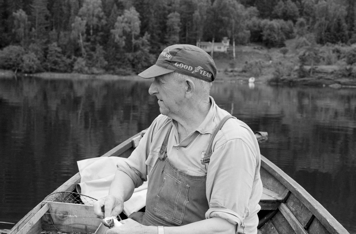 Yrkesfiskeren Paul Stensæter (1900-1982), fotografert i båten sin på Steinsfjorden, en sidearm til Tyrifjorden på Ringerike (Hole kommune) i Buskerud. Stensæter fanget ørekyte (Phoxinus phoxinus) eller «kime», en liten karpefisk som ble brukt som agn under abborfiske med reiv. Reiven var ei lang line som var påknyttet kortere fortommer med kroker. Det var disse krokene som ble egnet med «kime».

I 1970-åra var etnologen Åsmund Eknæs fra Norsk Skogbruksmuseum flere ganger på besøk hos Paul Stensæter for å observere ham i arbeid og intervjue ham om fiskeaktivitetene på ulike tider av året. Museumsmannen sammenfattet den kunnskapen han tilegnet seg om reivfisket og bruken av «kime» som agn i Steinsfjorden slik:

«Det kanskje mest effektive redskap på abboren var reiven. Når to stykker fisket sammen var det mulig å ha abborreiv med opptil 1 000 kroker. Disse hang i ca. 30 cm lange tamser med 2 favners mellomrom. Vi fikk altså her ei line på omkring 4 kilometers lengde! Reiven ble ikke satt på samme sted to dager i trekk. De satte den «bassenget rundt», dvs. at de fulgte en bestemt rutine for å få fisket rundt hele fjorden.

Da Paul gikk over til å fiske aleine nøyde han seg med 600 kroker. Agn var, så lenge det var lovlig, levende ørekyte, «kimer», Kima hadde han gående i en vannstamp med et klede over. Kledet hang litt ned i vannet slik at det ble en liten dam på oversida. Oppi her tok han en neve kime etter hvert som han trengte det. Reiven ble oppbevart i ei kasse med slinner langs kantene til feste for krokene. Paul greide å egne og kaste uti ca. 100 kroker på et kvarter. Da måtte han også få båten framover etter hvert som reiven ble satt ut.»