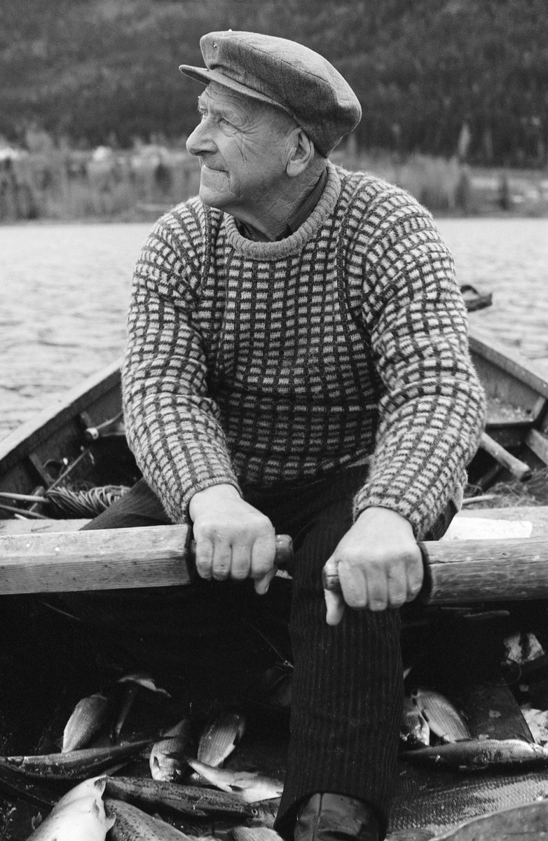 Yrkesfisker Paul Stensæter (1900-1982), fotografert mens han rodde båten sin under garnfiske etter sik i Steinsfjorden, en sidearm til Tyrifjorden på Ringerike i Buskerud høsten 1973. Stensæter hadde en rutemønstret strikkegenser på overkroppen og sixpencelue på hodet. Blikket var vendt mot fjorden, der han hentet en betydelig del av inntektsgrunnlaget sitt. Paul Stensæter eide et lite småbruk, Bjerkeli, på østsida av Steinsfjorden. Jordvegen var langtfra stor nok til at han kunne leve av avlingene på denne eiendommen. Som mange andre småbrukere i dette området skaffet han seg ekstrainntekter ved å påta seg tømmerhogster og å høste av den allment tilgjengelige ressursen fisken i fjorden var. Etter hvert fikk Stensæter ryggproblemer som førte til at han ikke maktet det tunge skogsarbeidet lenger. Dermed ble fisket stadig viktigere for ham. I 1970-åra var han den eneste som fortsatt drev næringsfiske i Steinsfjorden. På dette bildet ser vi noe av dagens fangst på botnen av båten, mellom beina til Stensæter. Den besto av  Bildet vise noe av sik, noen ørreter, ei brasme og ei gjedde.