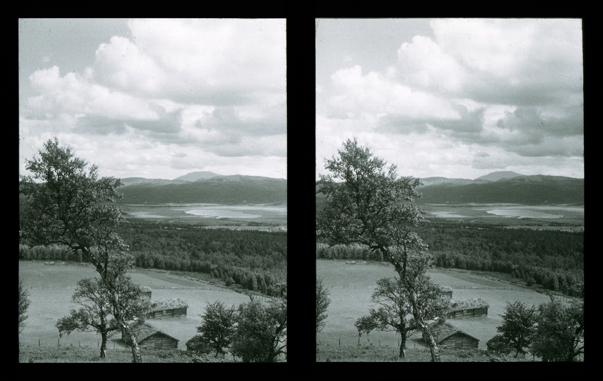 Landskap med tømmerbygninger. Tilhører Arkitekt Hans Grendahls samling av stereobilder.