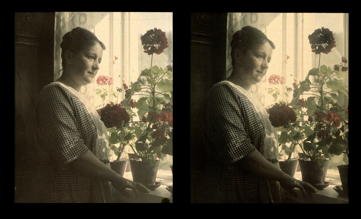 Portrett i miljø, med vinduslys. Adele, Hans Grendahls kone, fotografert i deres hjem i Trondheim. Tilhører Arkitekt Hans Grendahls samling av stereobilder.