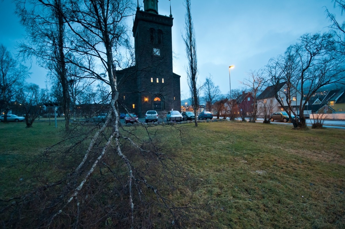 25.12.2011: Mens store deler av Norge opplevde ekstremvær på natta, fikk vi som vanlig i Narvik bare små problemer. I kirkeparken ga ei grein etter for vindkulene. Småtterier.