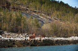 Gammelt steinbrudd på sørsiden av Skjomenfjorden. Foto 19. m
