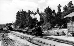 Setesdalsbanen. Godstog og lok nr. 2 ved Evje. August 1958.