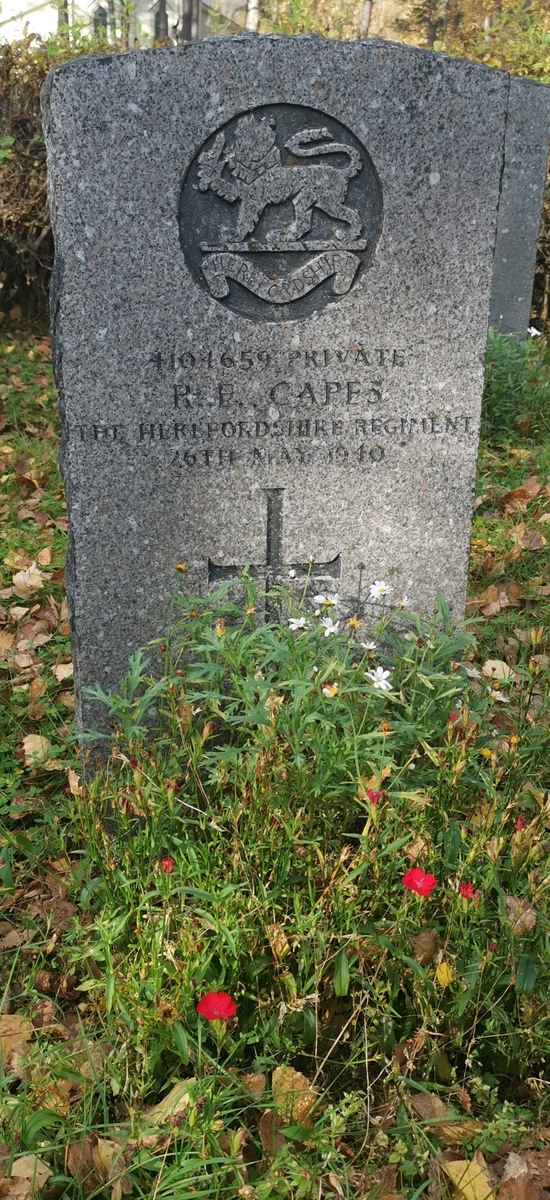 Robert Edward Capes (d. 1940), britisk krigsgrav på Saltdal kirkegård.