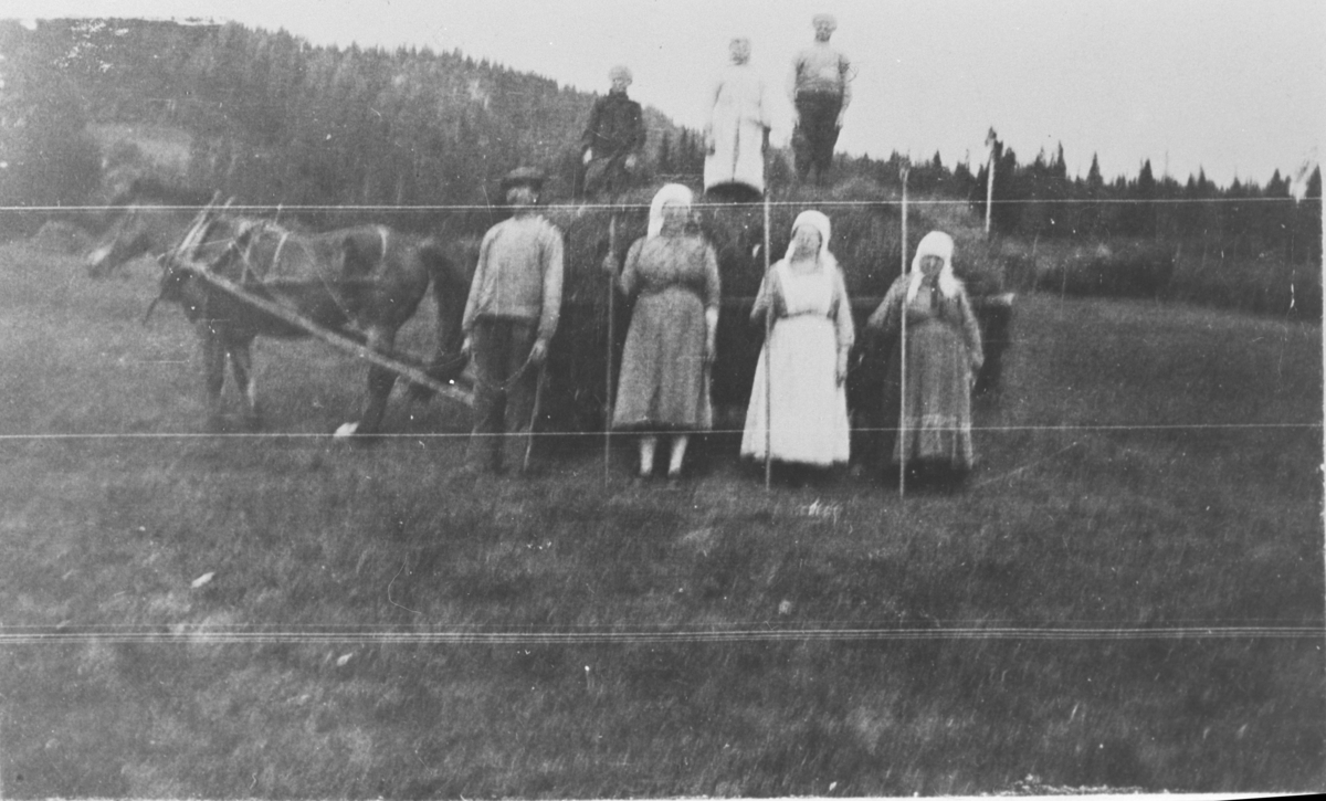 Fra slåttonna hos Ole Hollerud, omkring 1922. I høyinga, fra venstre: Steinar, Kari og Ole Hollerud. På bakken: Jakob, Bolette, Mari og Kari Hollerud.