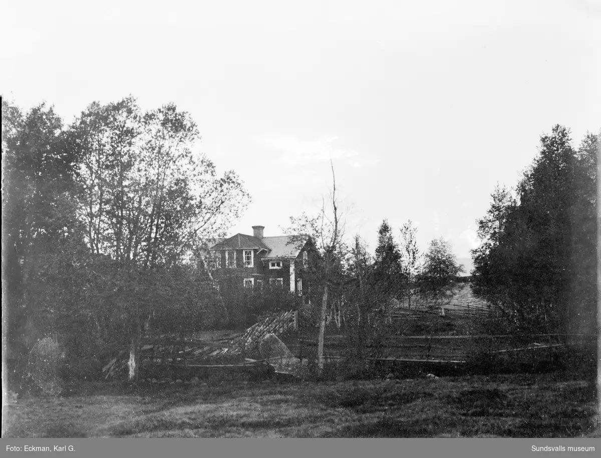 Familjen Eckmans hus i Häre, Indal. Bilden tagen västerut från beteshagen. Ur Karl Eckmans samling.