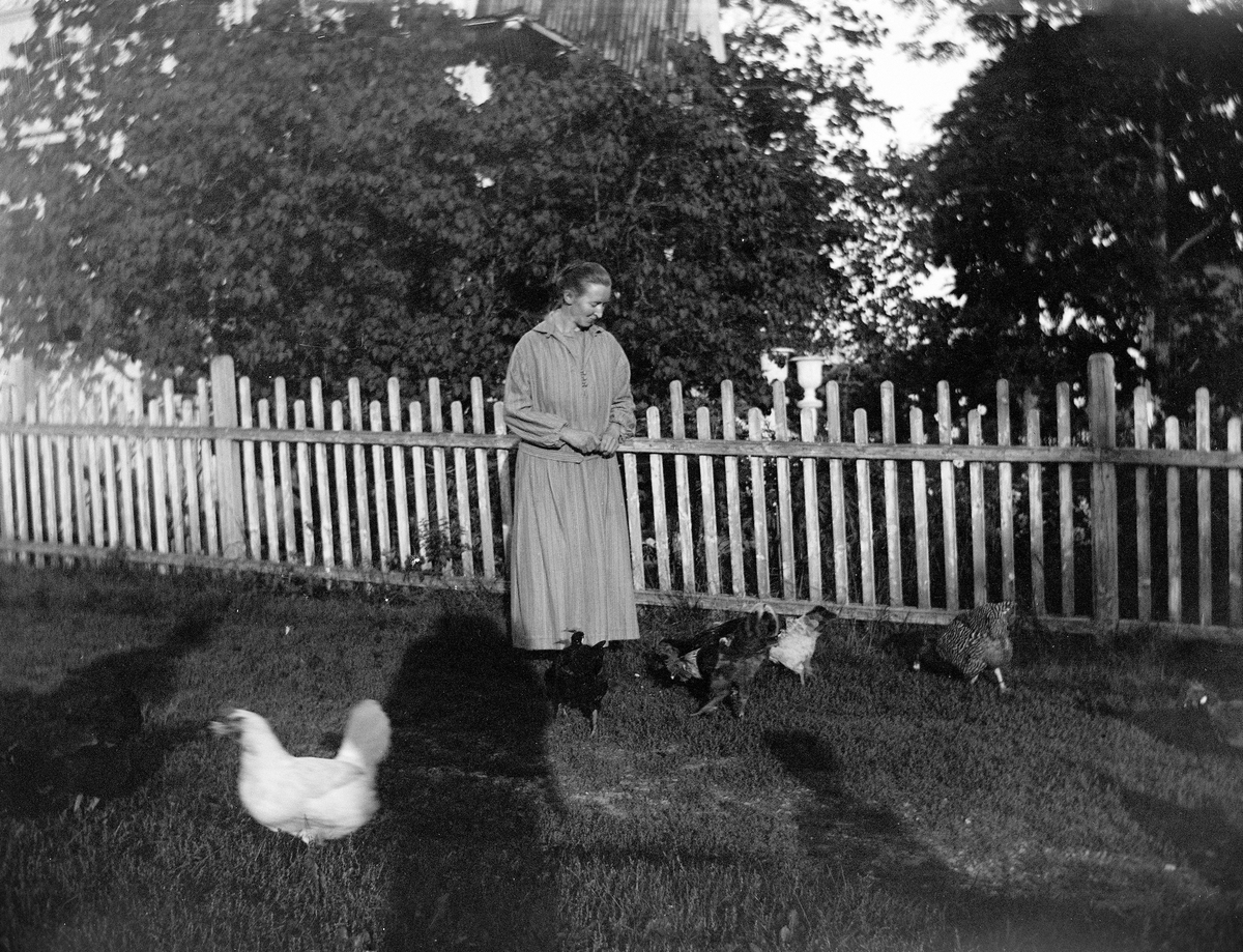 Kvinne omringet av høns.