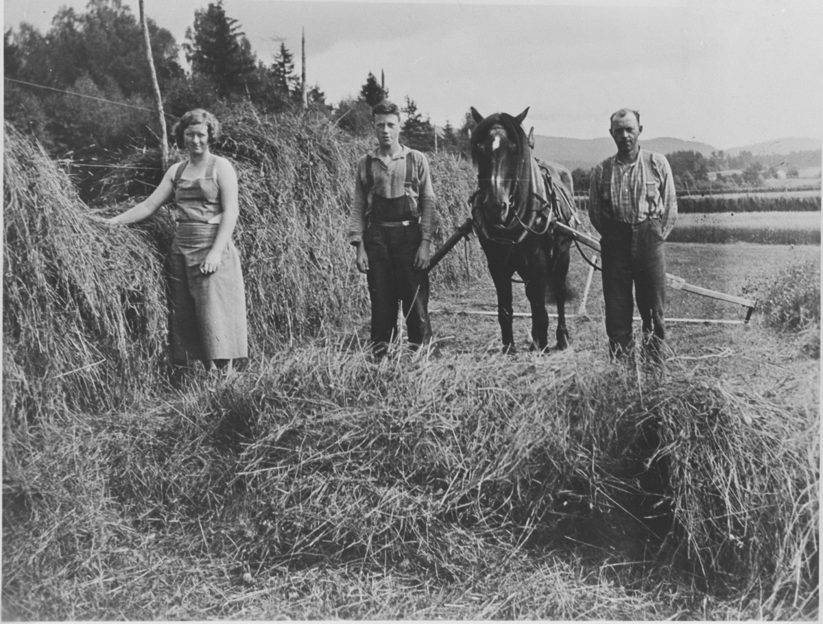Hesjing på Mellom-Støvern i Sigdal, ca. 1933. Hest med sleperive. Fra venstre: Borghild Bjerkmann, Kristoffer Strand og Anders Strand. 