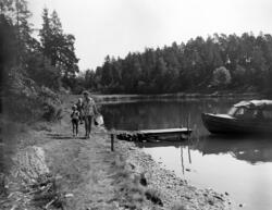 Borøya i Oslofjorden. August 1956