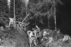 Arbeidstjeneste i Varteig 1941. Grøfting i skogen ved Belsby