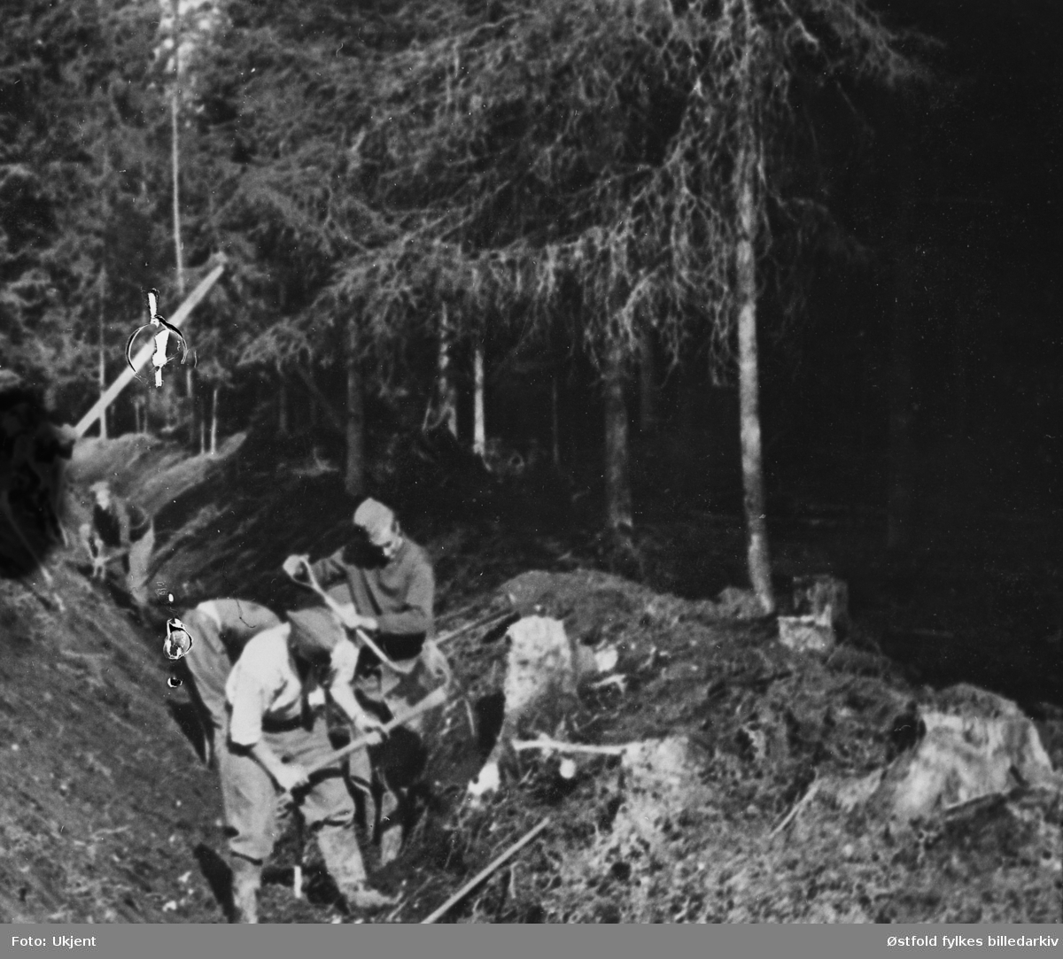 Arbeidstjeneste i Varteig 1941. Grøfting i skogen ved Belsbymoen.